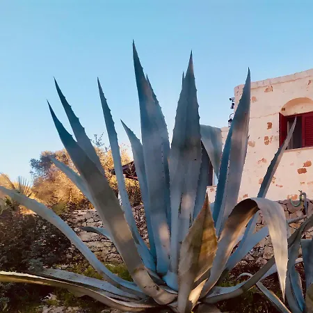Villa Ostuni