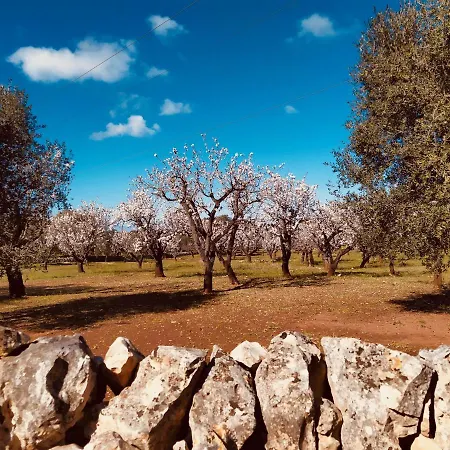 Villa Ostuni Ostuni