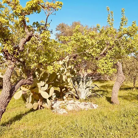Villa Villa Ostuni Ostuni